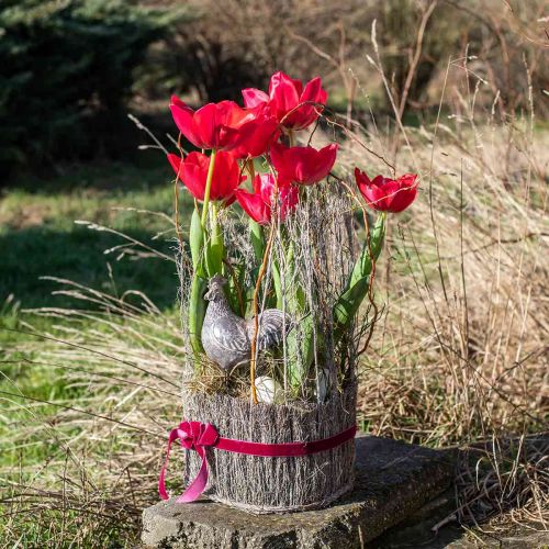 Floristik24 Cesta de plantas hecha de ramitas blanqueadas Ø15-25cm juego de 3