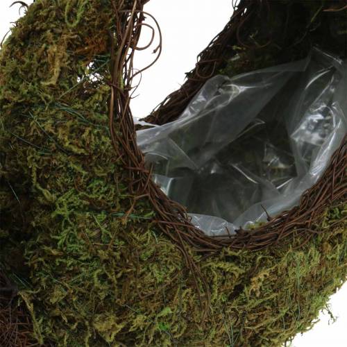 Floristik24 Cesta para plantas caracol musgo marrón 29x13cm H23cm