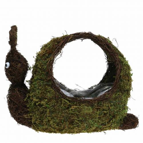 Floristik24 Cesta para plantas caracol musgo marrón 29x13cm H23cm