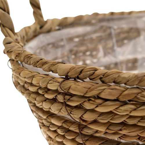 Floristik24 Cesta de plantas cesta de algas marinas con asas decoración de mesa Ø30cm H11cm