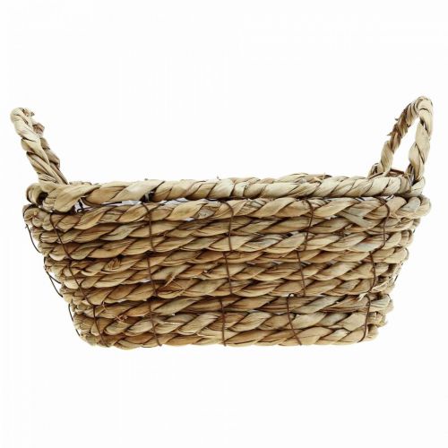 Floristik24 Cesta para plantas cesta de algas marinas con asas decoración ovalada 23×13×9cm