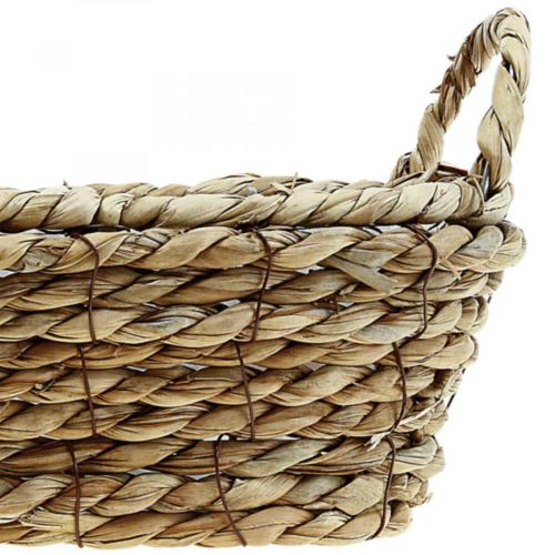 Floristik24 Cesta para plantas cesta de algas marinas con asas decoración ovalada 23×13×9cm