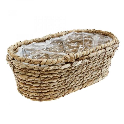 Floristik24 Cesta de plantas cesta de algas marinas cesta decorativa ovalada 28×15×10cm