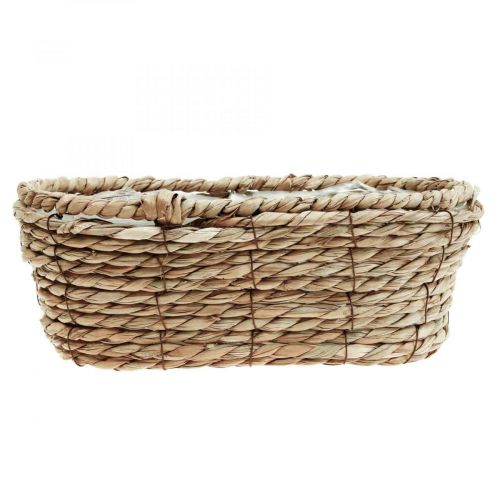 Floristik24 Cesta de plantas cesta de algas marinas cesta decorativa ovalada 28×15×10cm