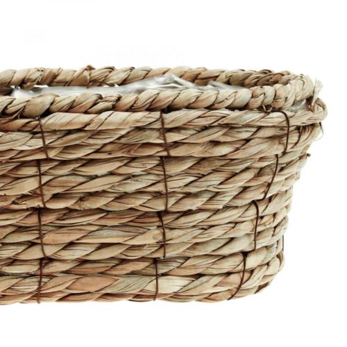 Floristik24 Cesta de plantas cesta de algas marinas cesta decorativa ovalada 28×15×10cm