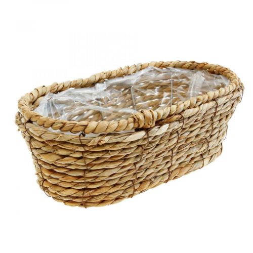 Floristik24 Cesta para plantas cesta de algas marinas cesta decorativa ovalada 32×19×12cm