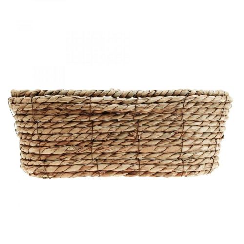 Floristik24 Cesta para plantas cesta de algas marinas cesta decorativa ovalada 32×19×12cm