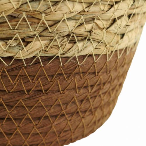 Floristik24 Cesta de plantas macetero cesta de hierba marina deco naturaleza Ø19cm H16cm