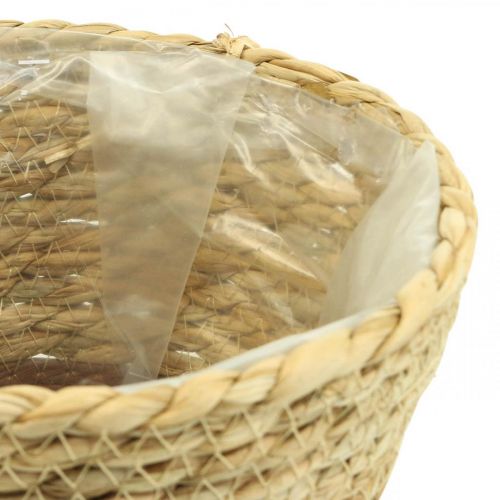 Floristik24 Cesta de plantas macetero cesta de hierba marina deco naturaleza Ø19cm H16cm