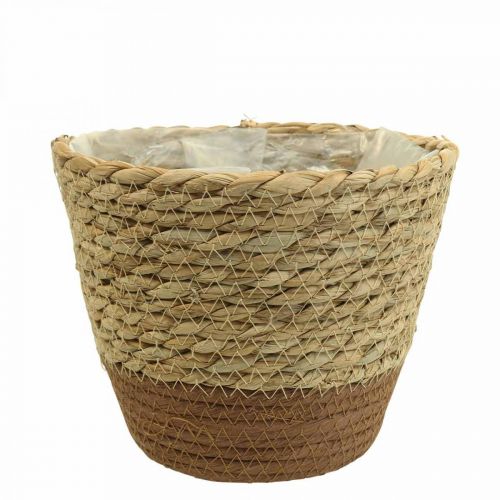 Floristik24 Cesta de plantas macetero cesta de hierba marina deco naturaleza Ø19cm H16cm