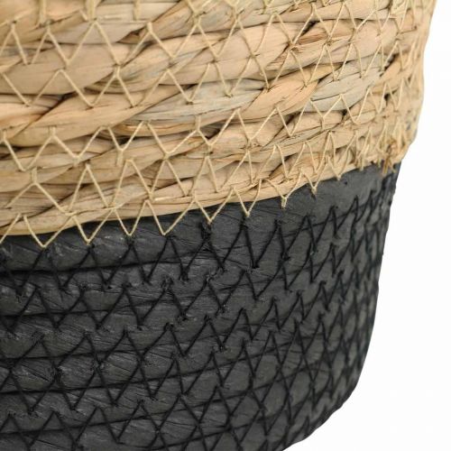 Floristik24 Cesta de plantas macetero cesta de hierba marina deco naturaleza Ø23cm H20cm