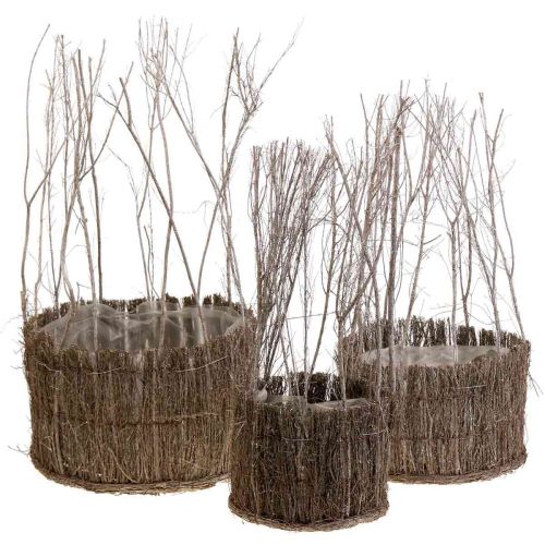 Floristik24 Cesta de plantas hecha de ramitas blanqueadas Ø15-25cm juego de 3