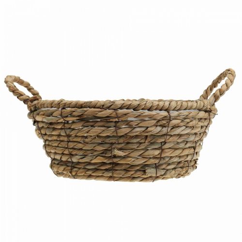 Floristik24 Cesta para plantas cesta redonda de algas marinas con asas cesta decorativa Ø25cm H9cm