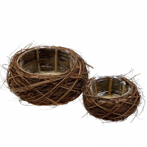 Floristik24 Cesta de plantas de vid y ramitas natural Ø37 / 28cm, juego de 2