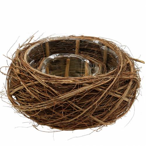 Floristik24 Cesta de plantas de vid y ramitas natural Ø37 / 28cm, juego de 2