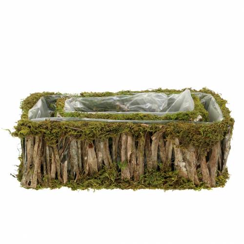 Floristik24 Cesta de siembra musgo angular, corteza 34 × 15.5 / 24.5 × 11 cm, juego de 2