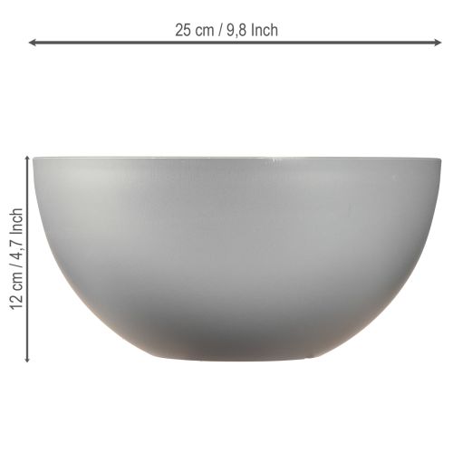 Artículo Maceta de plástico para flores, color gris, diámetro 25 cm, altura 12 cm.