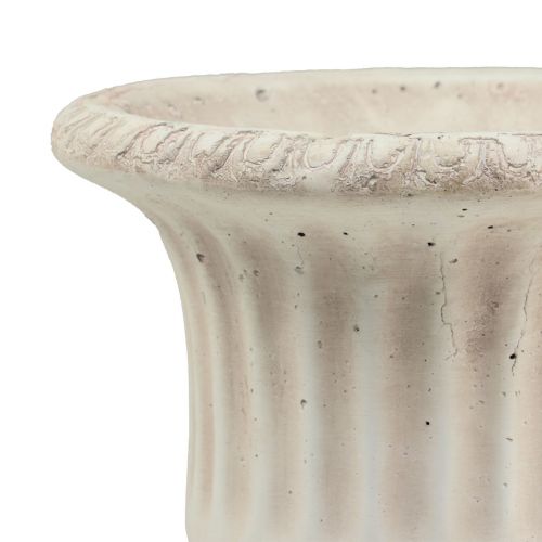 Floristik24 Macetero trofeo de hormigón macetero decorativo antiguo Ø19cm H24cm