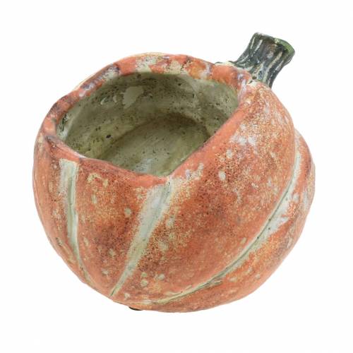 Calabaza para plantar Naranja 19×15×16cm