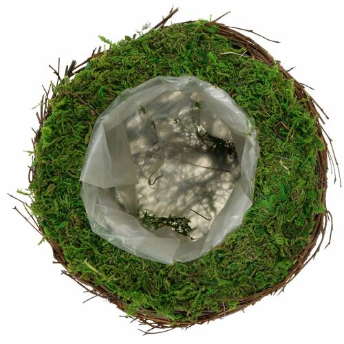 Cuenco para plantas ratán, musgo Ø16cm H11cm