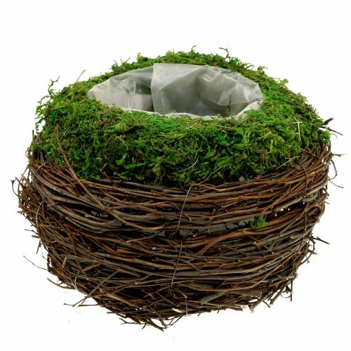 Floristik24 Jardinera cuenco de ratán, musgo Ø19cm H13cm
