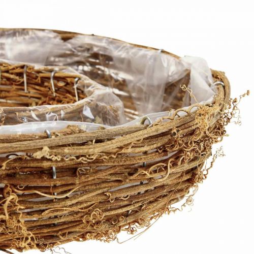Floristik24 Anillo de planta de vid, cuenco de planta Ø35/30cm juego de 2