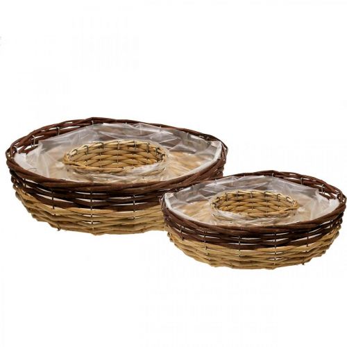 Floristik24 Anillo para plantas de sauce, cuenco para plantas Ø35/30cm juego de 2