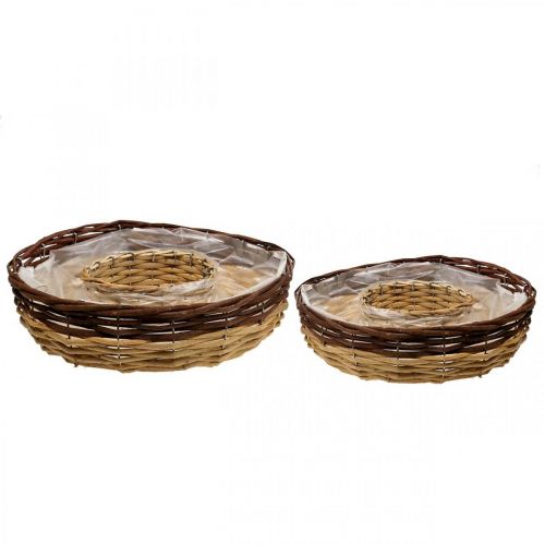 Floristik24 Anillo para plantas de sauce, cuenco para plantas Ø35/30cm juego de 2