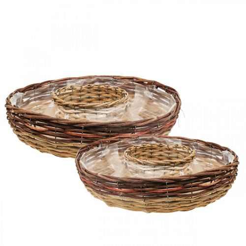 Floristik24 Anillo para plantas de sauce, cuenco para plantas Ø44/38cm juego de 2