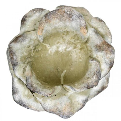 Floristik24 Flor de rosa para plantar, flores funerarias, rosa de piedra, decoración de hormigón gris, albaricoque, violeta Ø11cm L22cm H9cm
