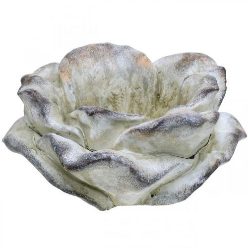 Floristik24 Rosa de hormigón, decoración de jardín, rosa vegetal, flores funerarias gris, albaricoque, violeta Ø12cm L26.5cm H11cm