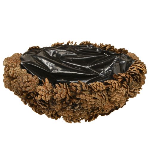 Floristik24 Cuenco para plantas de conos auténticos, cuenco cónico natural, Ø28 cm, alto 9 cm