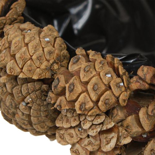 Floristik24 Cuenco para plantas de conos auténticos, cuenco cónico natural, Ø28 cm, alto 9 cm