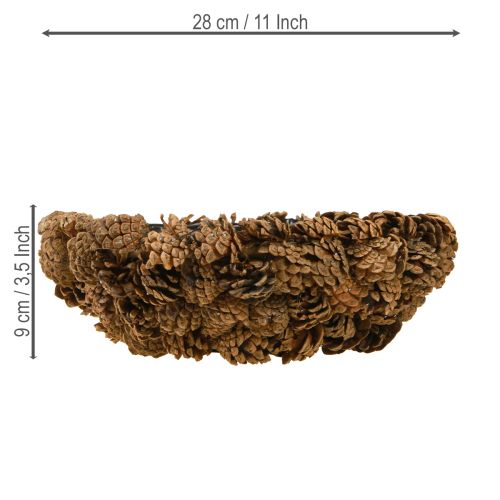 Floristik24 Cuenco para plantas de conos auténticos, cuenco cónico natural, Ø28 cm, alto 9 cm