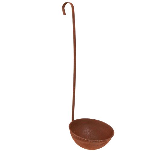 Floristik24 Cuenco para plantas colgante decoración de cocina paleta óxido Ø16,5cm 2ud