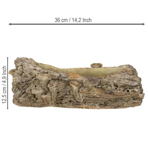 Artículo Jardinera de piedra artificial con forma de tronco de árbol y setas 36×18×12,5cm