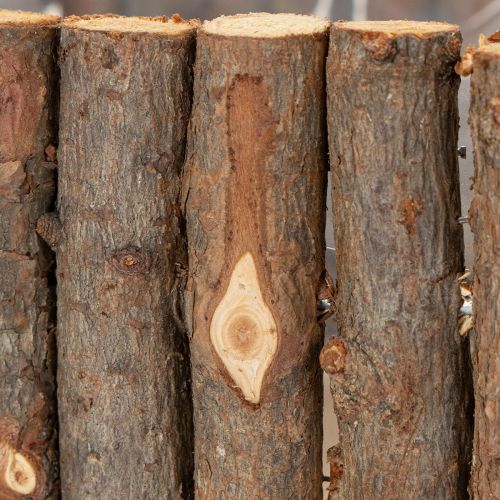 Artículo Cuenco para plantas cuadrado ramas de abedul natural 14,5/20cm juego de 2