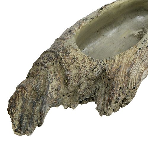 Floristik24 Plato para plantar suculentas 24.5cm x 8.5cm H5.5cm