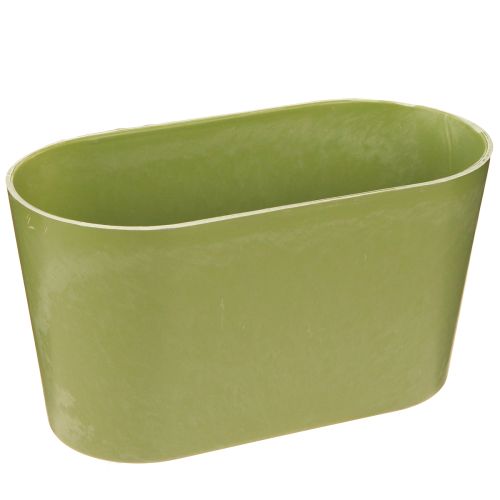 Floristik24 Cuenco para plantas ovalado verde cuenco plástico 20×10×11cm 3ud