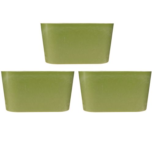 Artículo Cuenco para plantas ovalado verde cuenco plástico 20×10×11cm 3ud