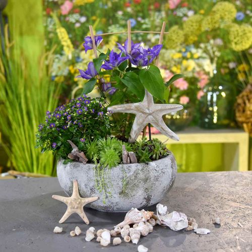 Floristik24 Cuenco para plantas aspecto antiguo cuenco para flores pátina Ø32cm H14cm