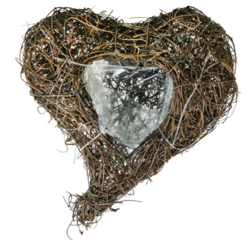 Artículo Cementerio de corazón de cuenco de planta, corazón de vid para plantar 15cm