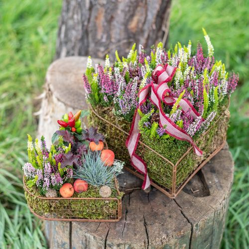 Cuenco para plantas, cesta de malla con forma de corazón de metal, óxido 20/24,5/30, juego de 3