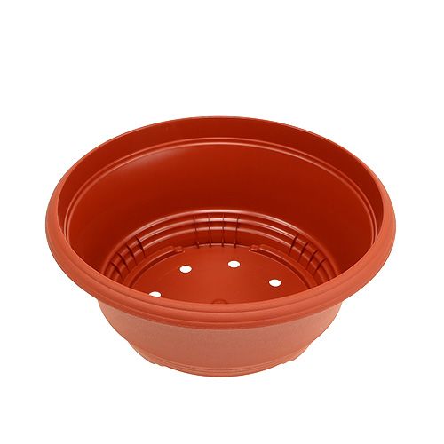 Artículo Cuenco de plástico para plantas, Ø20 cm, terracota, 3 unidades