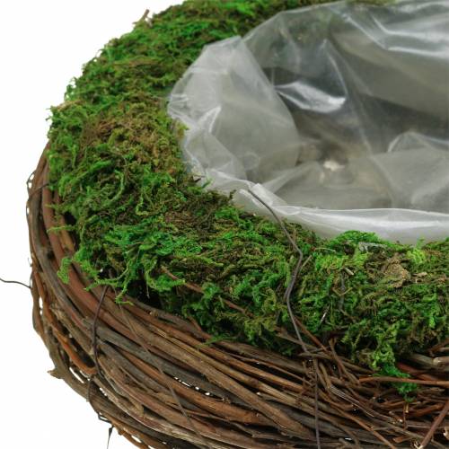 Floristik24 Cuenco para plantas ratán, musgo Ø26cm H9cm
