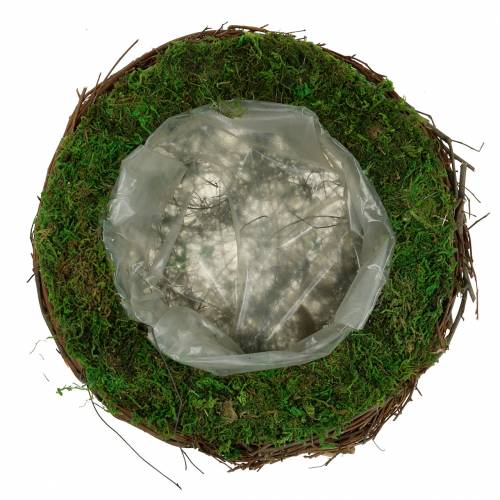 Floristik24 Cuenco para plantas ratán, musgo Ø26cm H9cm