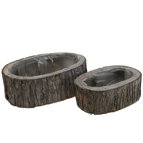 Floristik24 Jardinera macetero madera corteza L23/29,5cm juego de 2