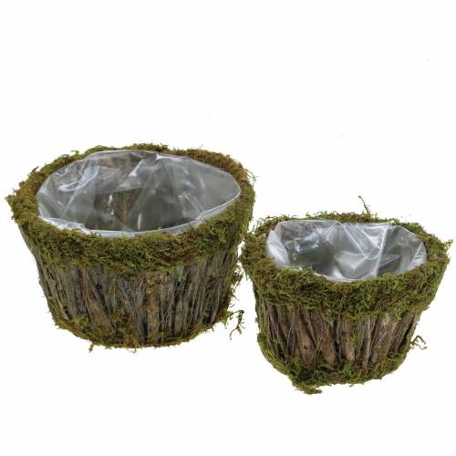 Macetero musgo/corteza redondo Ø15/20cm juego de 2