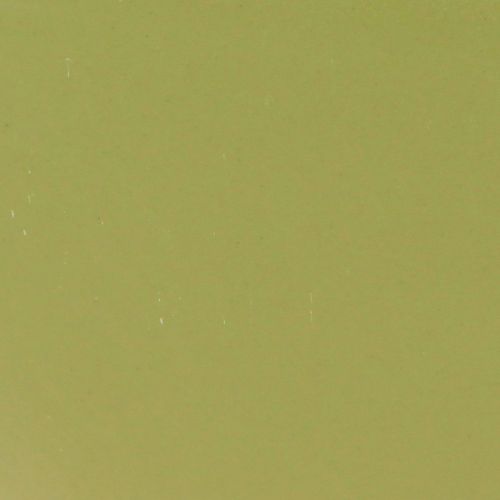 Artículo Cuenco decorativo plástico barco planta verde 28×9×9cm 3ud