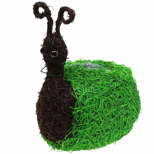 Jardinera Caracol Vine Natural, Verde 21x14cm H26cm